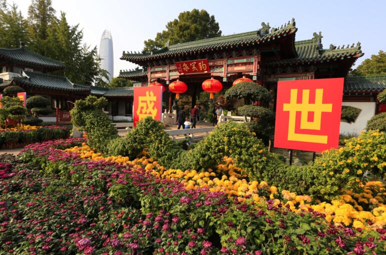 万菊缤纷耀趵突