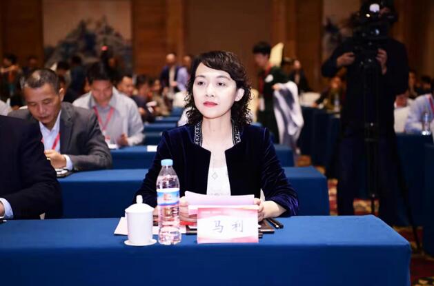 中国城市网盟成立15年 百位大咖论道泉城