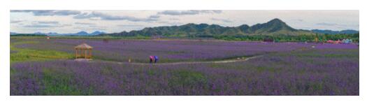 【镜头中的脱贫故事】电力服务助推农牧民旅游致富