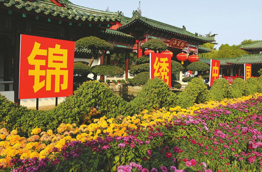 第40届趵突泉金秋菊展开幕 一年好景君须记 正是菊花斗艳时