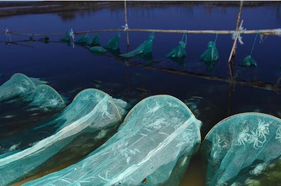 总书记关心的百姓身边事丨水润民心——全国农村饮水安全攻坚成效观察