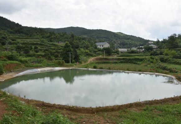 总书记关心的百姓身边事丨水润民心——全国农村饮水安全攻坚成效观察