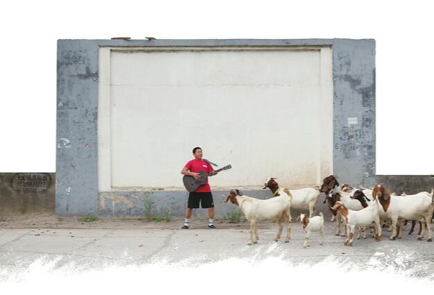 现在进入“毛家村时间”