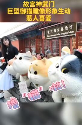 故宫现巨型御猫 话说,故宫的“猫历史”也有300年了吧?