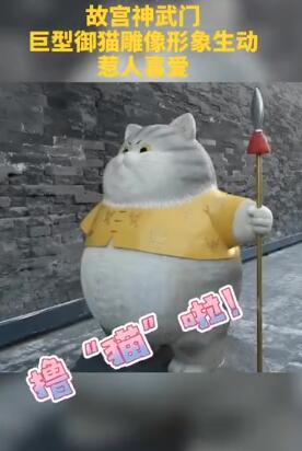 故宫现巨型御猫 话说,故宫的“猫历史”也有300年了吧?