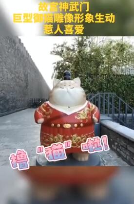 故宫现巨型御猫 话说,故宫的“猫历史”也有300年了吧?