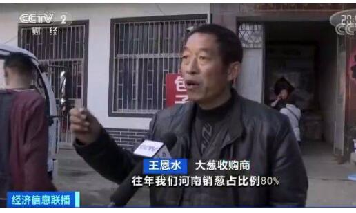 农户着急！山东大葱价格腰斩 去年收购价格每斤近一元,今年四毛钱