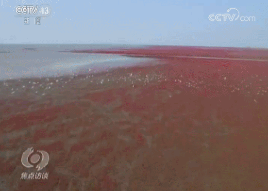 改革永不停步——沿着习近平的足迹看变化