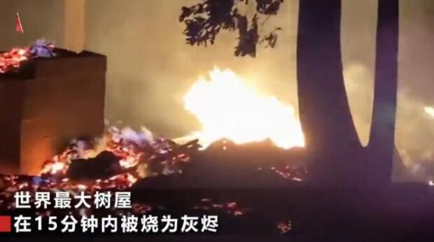 世界最大树屋被烧：12年心血毁于一把火 “小情人”没有了！