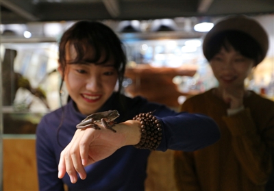 撸羊驼、撸刺猬…宠咖各出奇招 新奇消退之后呢?