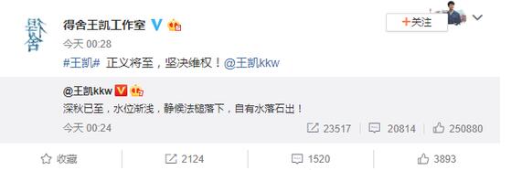 静候法槌落下!王凯澄清不雅视频 王凯澄清的到底是什么?