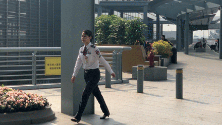 “一年间,我们更从容!”这份来自虹桥机场的报告请收好!70秒看进博会(14)