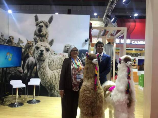 进博会最“神秘”展区高清图在此！这些高级别官员要来