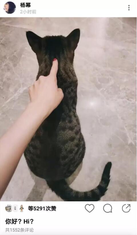 隔空示爱?杨幂魏大勋这是要在一起?曾有亲密照流出