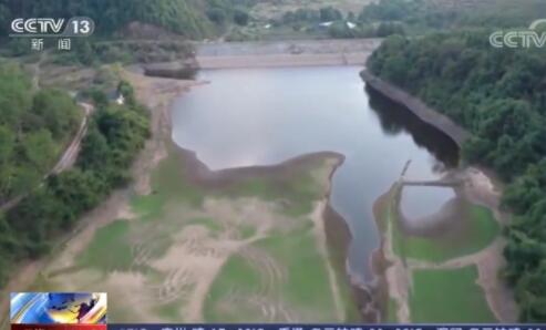 江西水库见底怎么回事?部分水稻干瘪无米粒,已经枯死