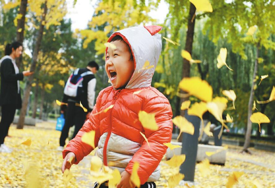 满目金黄 快来“大客厅”赏最美秋色