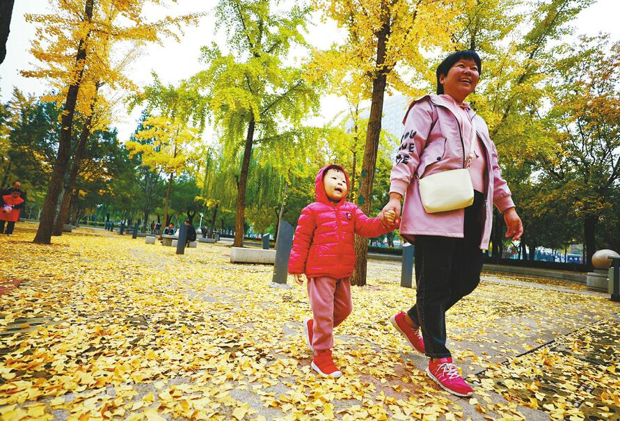 满目金黄 快来“大客厅”赏最美秋色