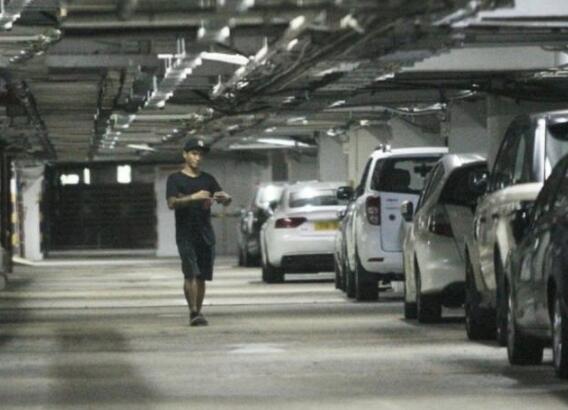 姐弟情深！张柏芝与闺蜜聚餐做头发，弟弟张豪龙连日护驾