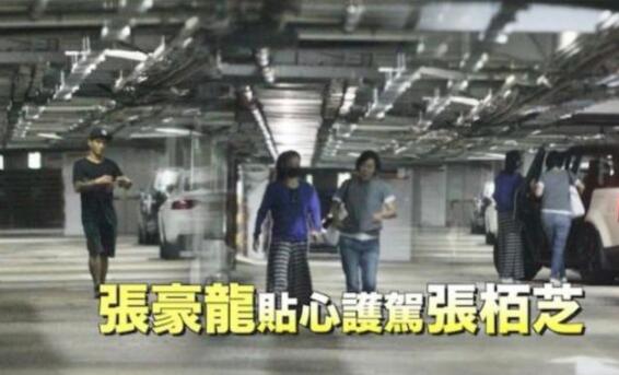 姐弟情深！张柏芝与闺蜜聚餐做头发，弟弟张豪龙连日护驾