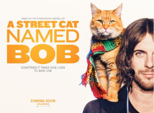 又可以云吸猫了?流浪猫鲍勃拍续集 预计2020年12月上映!