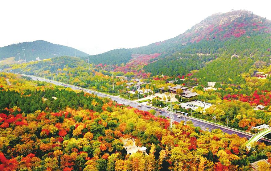 橙黄橘绿时泉城惹人醉