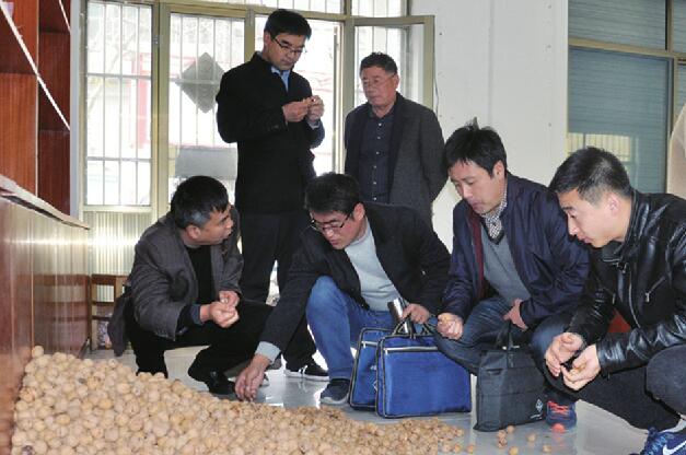 核桃园村村支书带万斤核桃进城义卖 专家组团进村帮核桃产业找出路