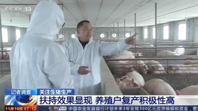 生猪生产扶持政策效果追踪：养殖户信心提升 存栏量持续增加