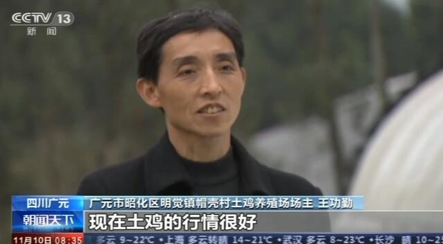 生猪生产扶持政策效果追踪：养殖户信心提升 存栏量持续增加