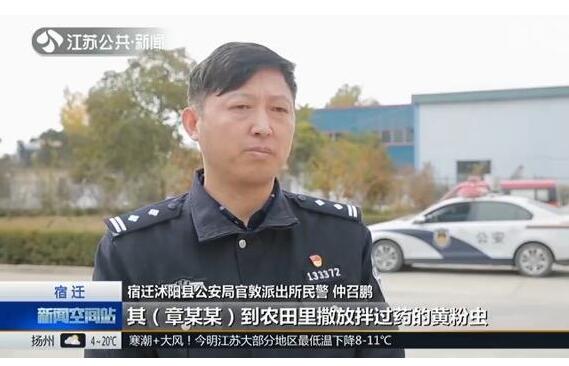 守卫百灵鸟!毒杀云雀被刑拘 云雀冬季迁徙之路坎坷不断