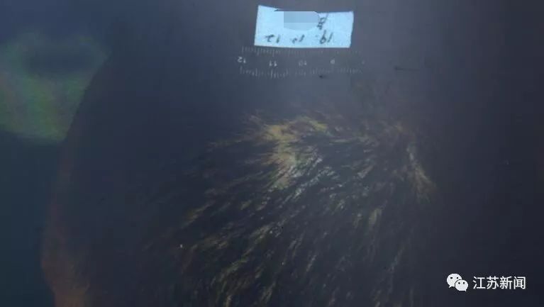 大反转！没钱打胎女友要分手 男子迁怒室友猛砸 28 锤