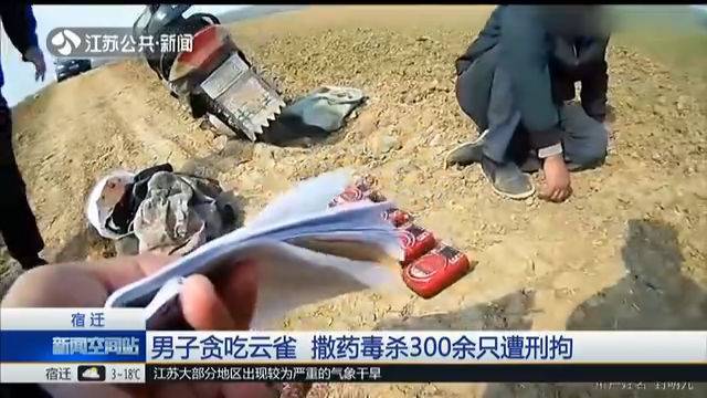 必须严惩！男子毒杀300余只云雀被刑拘 竟然只为口腹之欲？