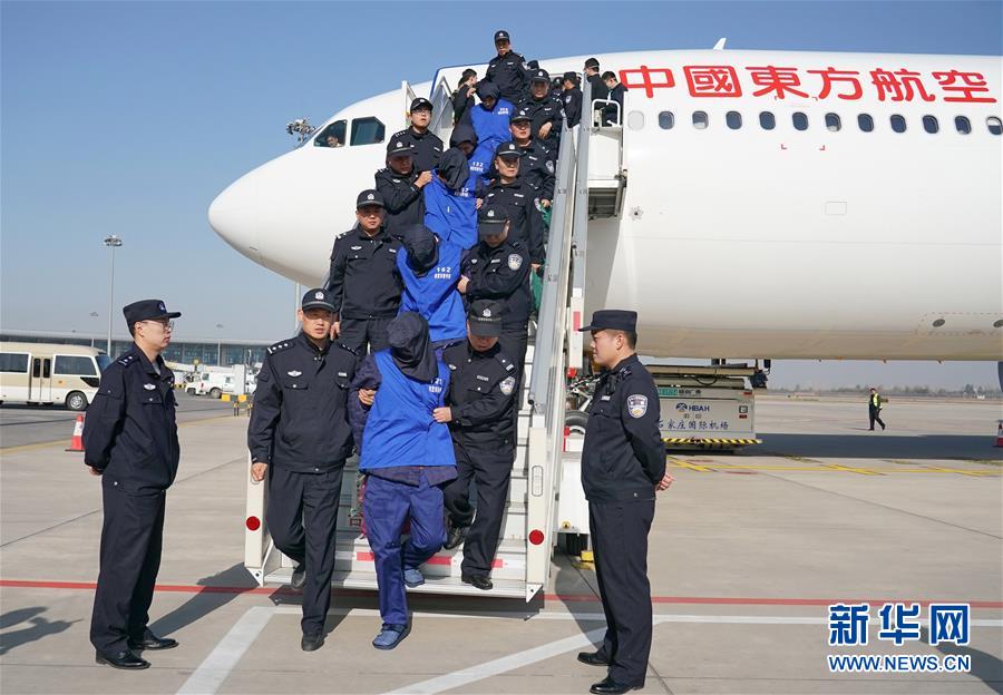 特大跨境“杀猪盘”诈骗案:208名嫌犯押解回国