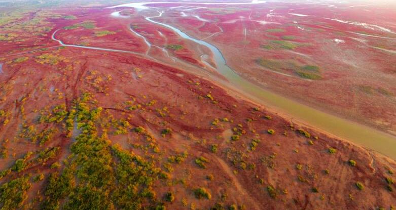 “黄河入海 我们回家” 绘就绿色发展新画卷