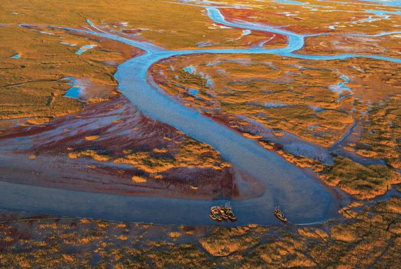 “黄河入海 我们回家” 绘就绿色发展新画卷