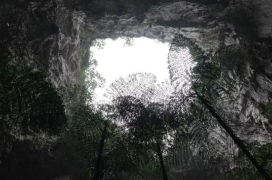 太神奇了！广西新发现一处世界级天坑群 由19个天坑组成
