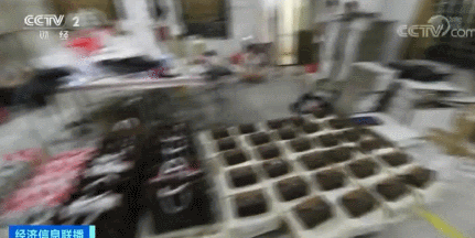18亿奢侈品涉假案怎么回事?终于真相了,原来是这样!
