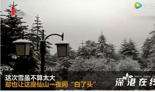 初雪降临！峨眉山第一场雪如期而至 峨眉山鹅毛大雪飘飘洒洒