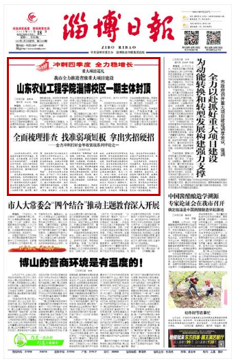 冲刺!加速!全力以赴!看11月18日山东各地党报关键词
