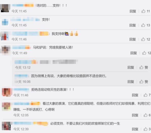 柬埔寨一名官员确认2020年起吴哥窟禁止骑大象,网友:必须支持