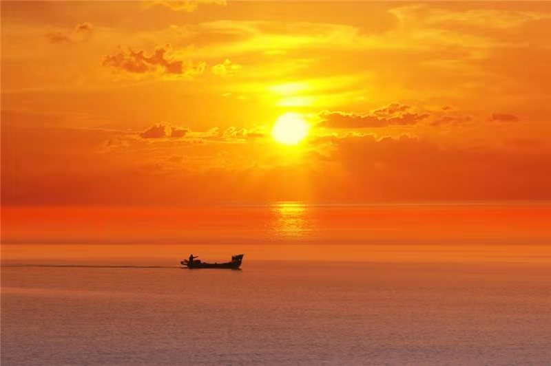 黄河入海，湿地披绿