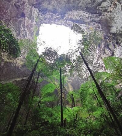 别有洞天!广西发现天坑群 洞谷内植被保密河道密布(图)