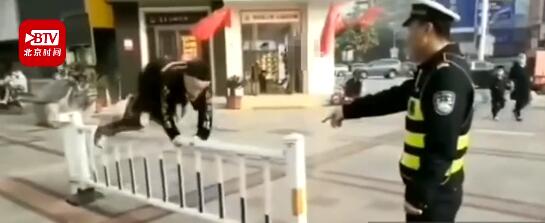 这辈子不会再翻护栏了！俩小伙被交警抓现行被罚翻护栏一次翻个够