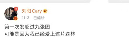 有爱大海的还有爱上森林的！爱上了这片森林是什么梗？