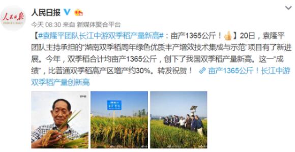 亩产1365公斤!袁隆平团队双季稻产量创新高!