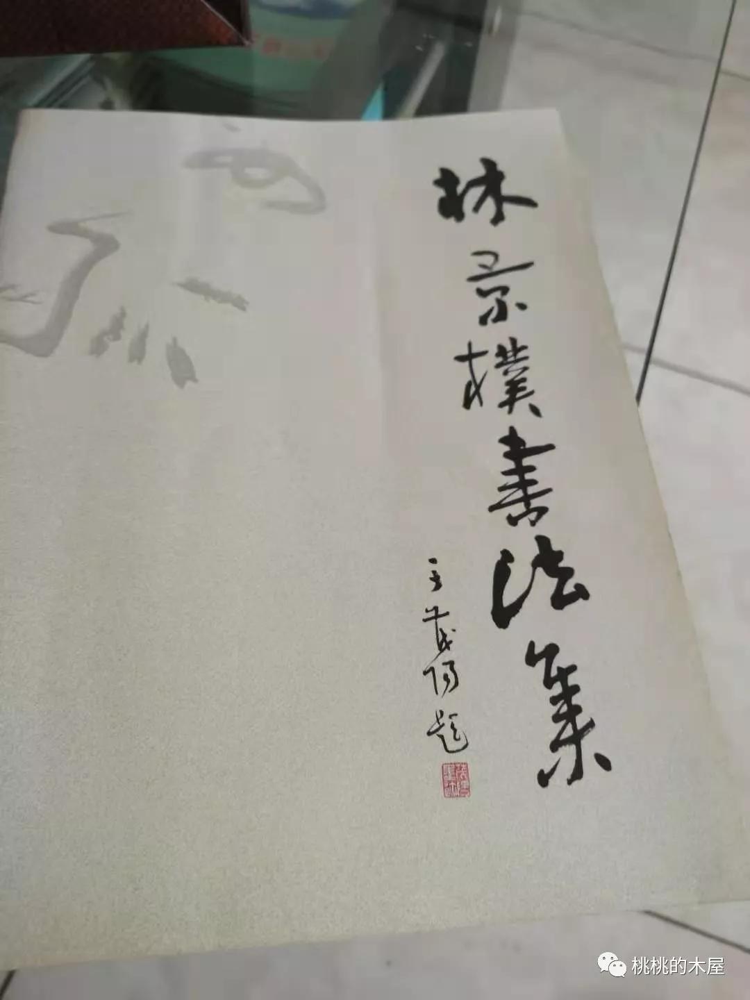 花鸟画名家林兵
