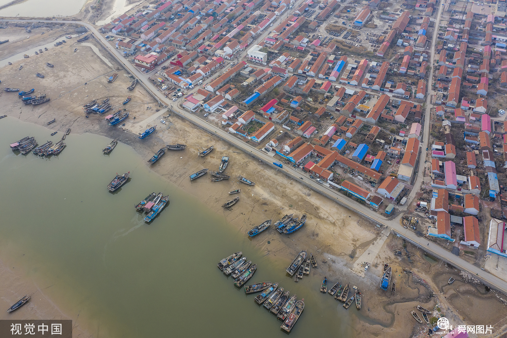 山东滨州：渤海湾梭鱼迎丰收 渔船纷纷靠岸供应市场