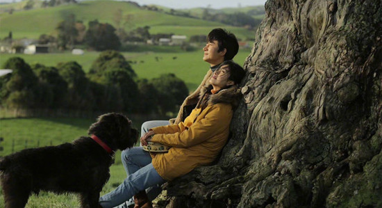 只有芸知道曝海报，徐帆黄轩杨采钰演绎悲凉的爱情故事