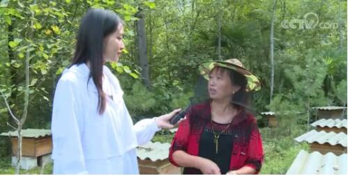 由北向南“一镜到底” 重温2019年镜头中的脱贫故事