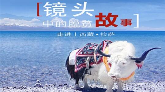 由北向南“一镜到底” 重温2019年镜头中的脱贫故事