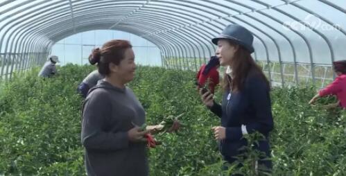 由北向南“一镜到底” 重温2019年镜头中的脱贫故事